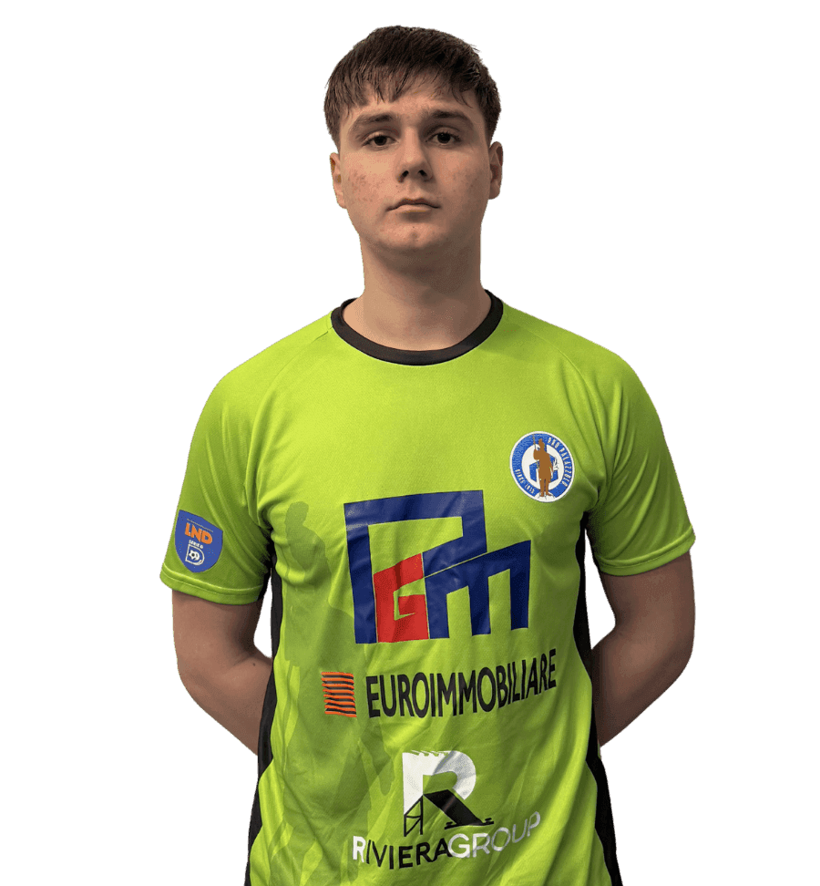 Luka Ilic
